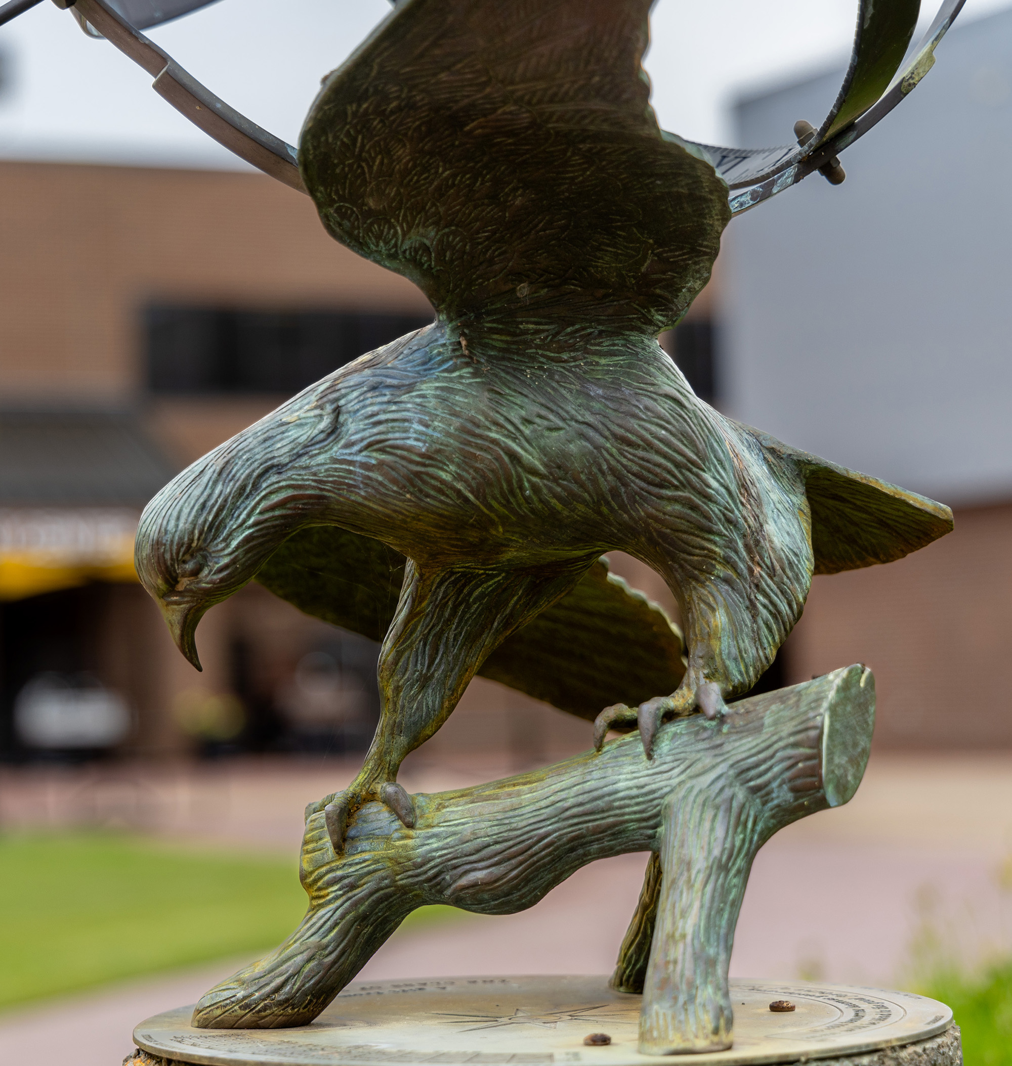 A hawk statue on campus