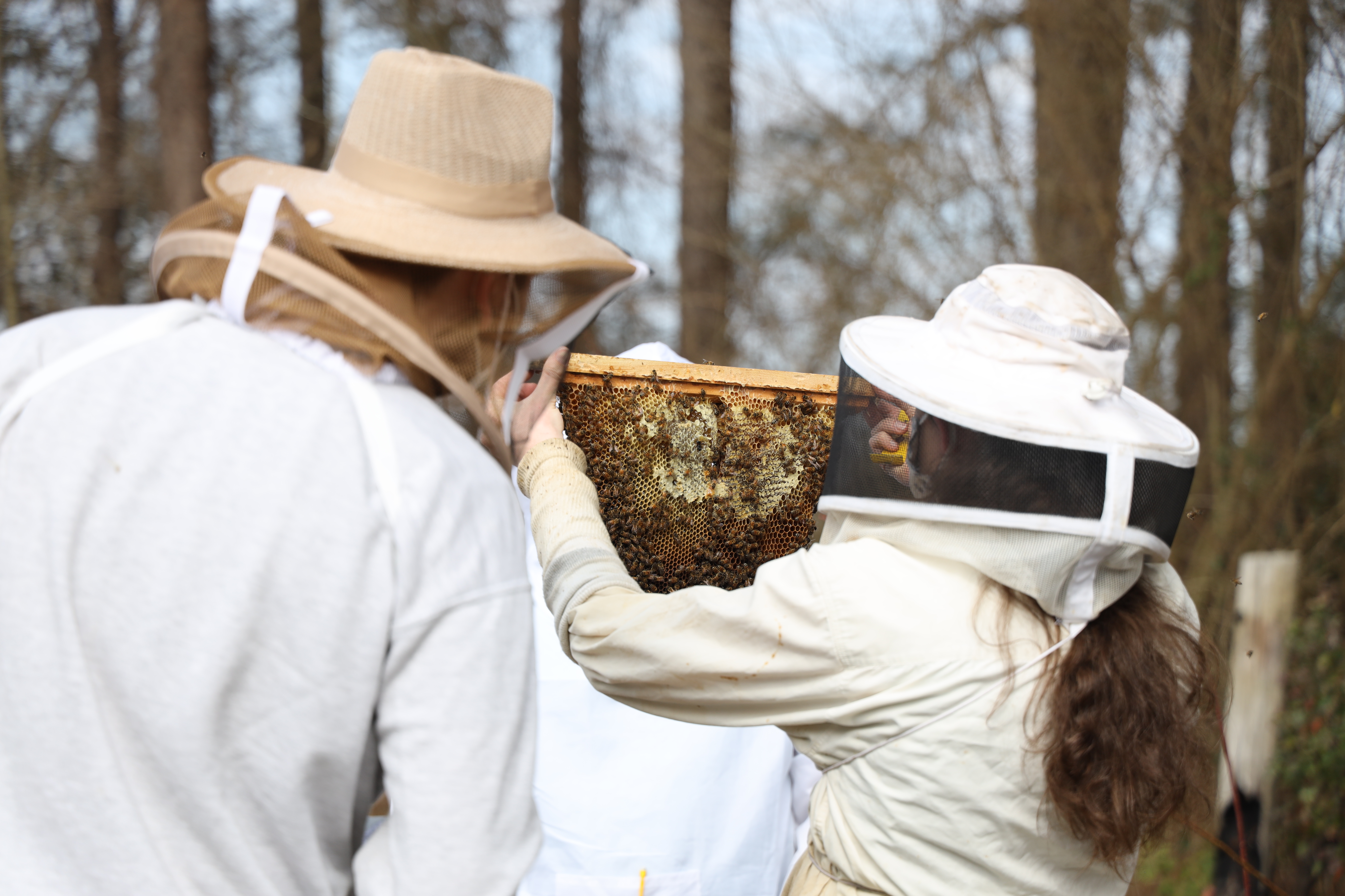UNCP Apiary and Bee Keeping Class in Biology