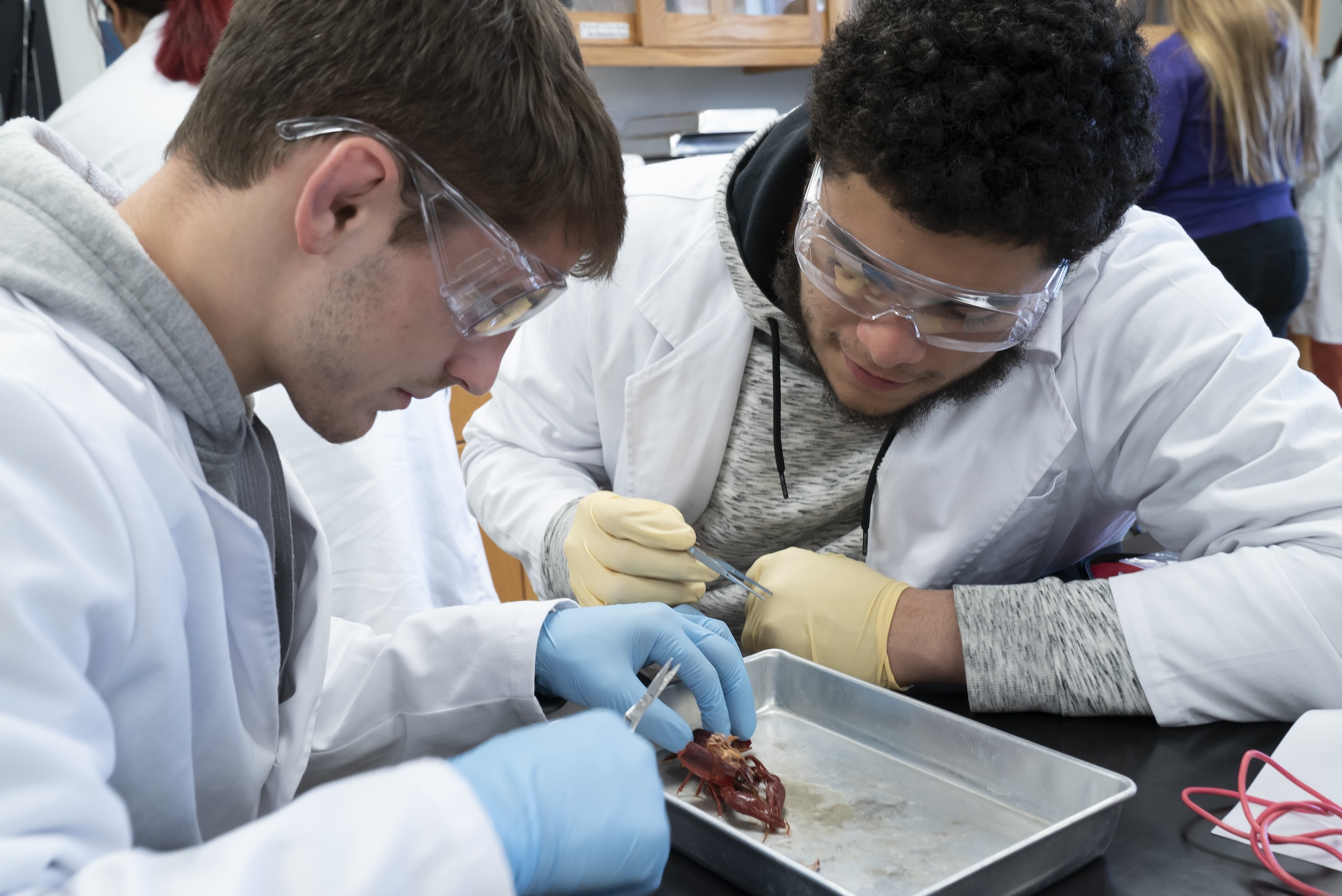 UNCP zoology lab