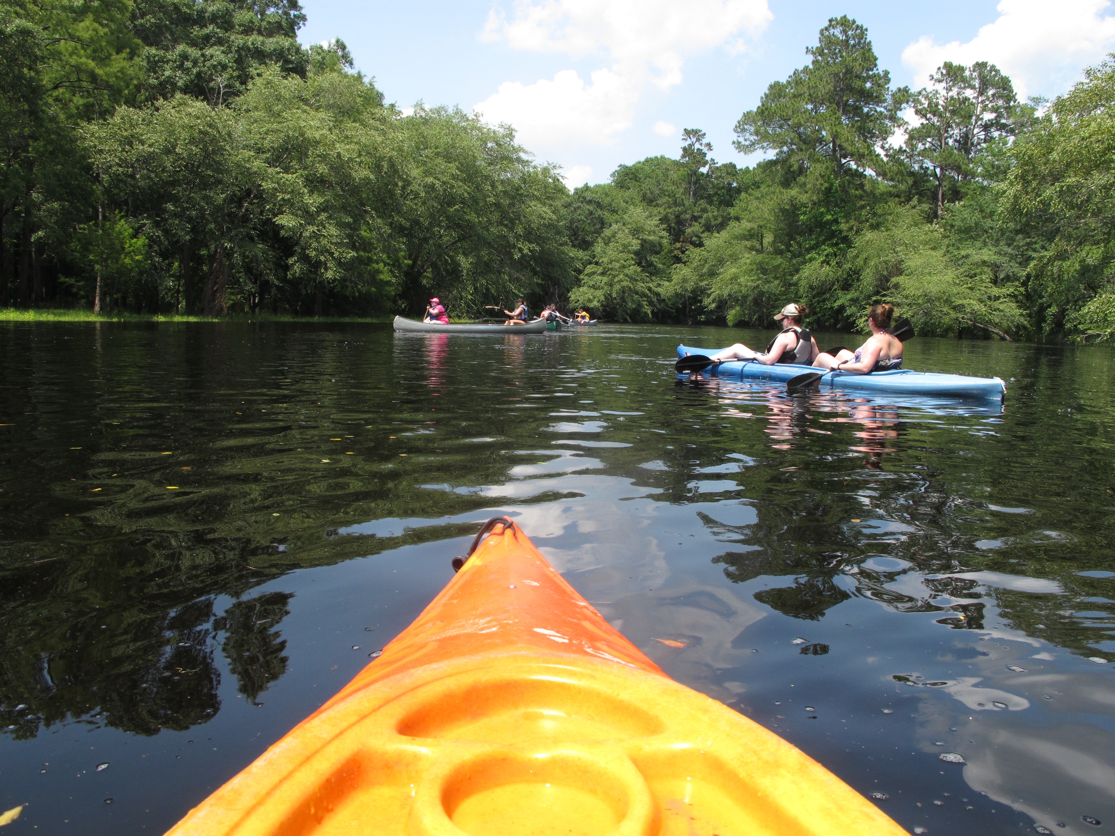 Canoeing Lumber River