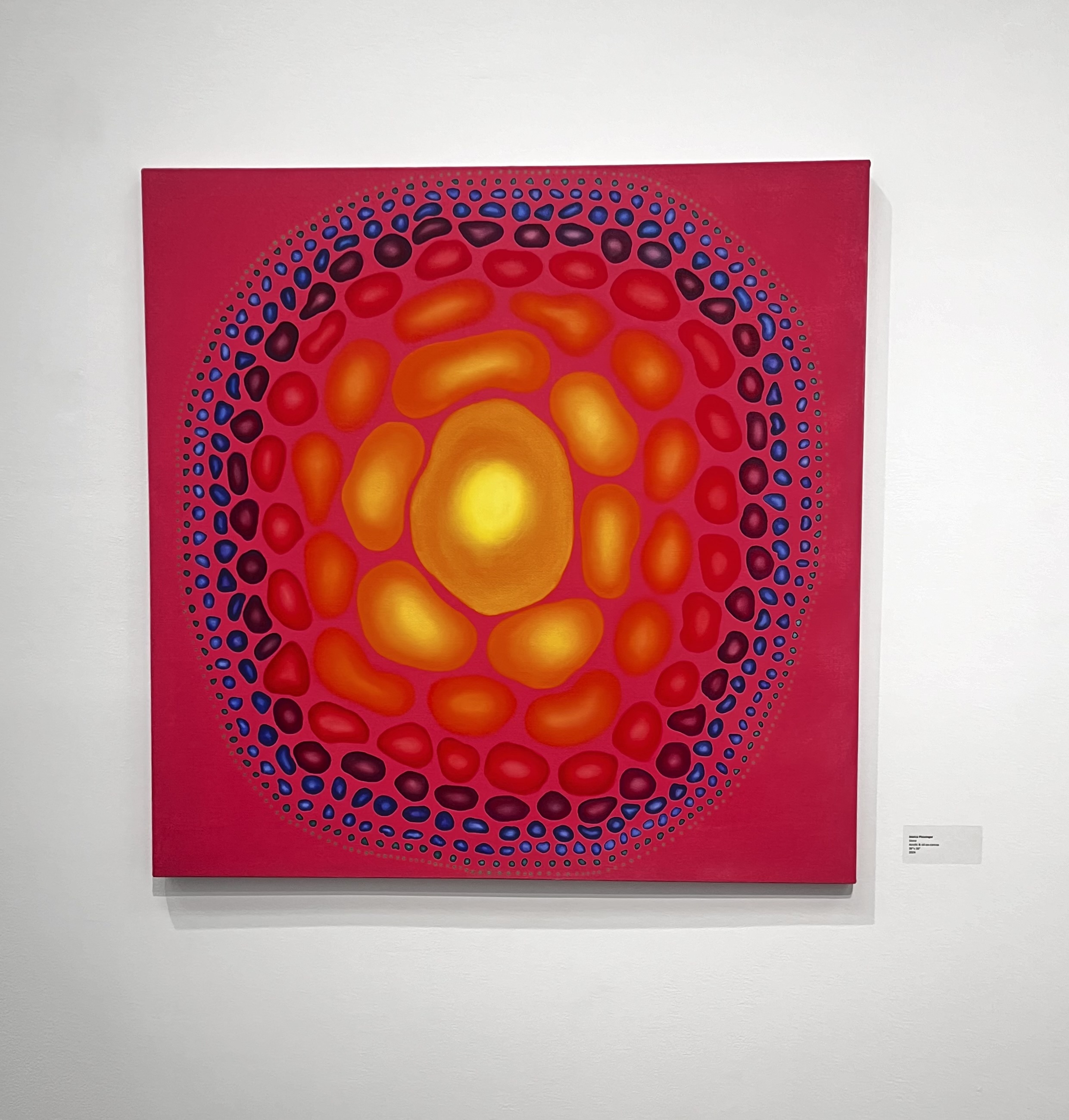 Senior Capstone Exhibition Realms of Color