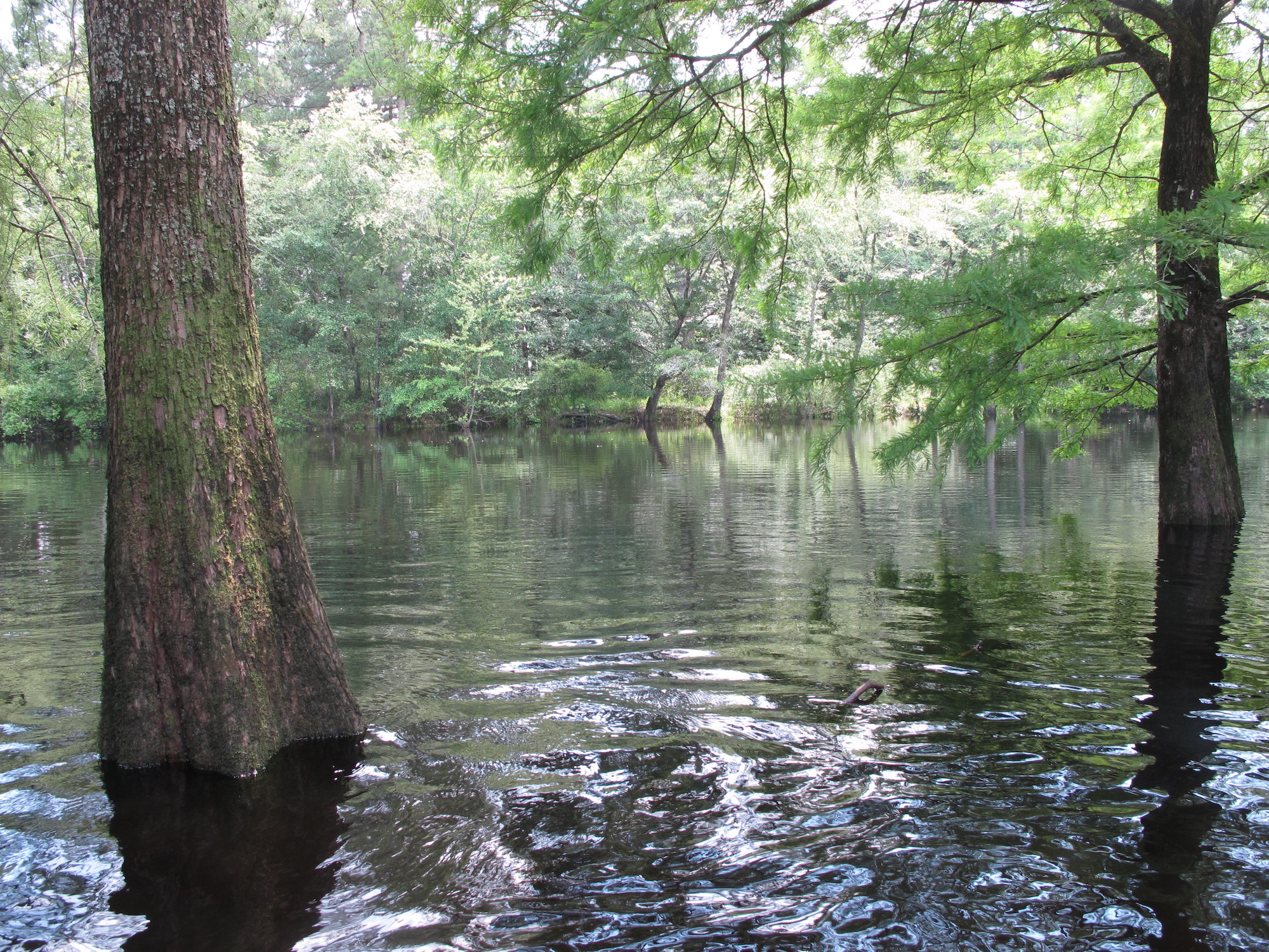Lumbee River