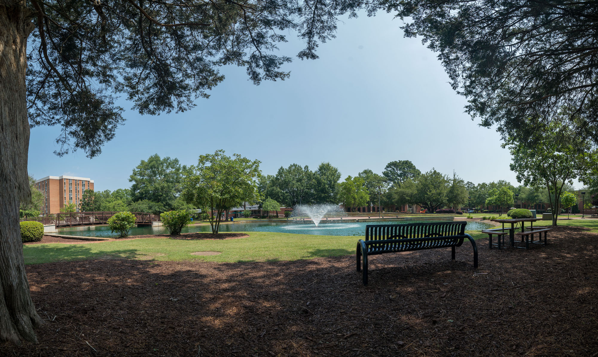 The Quad