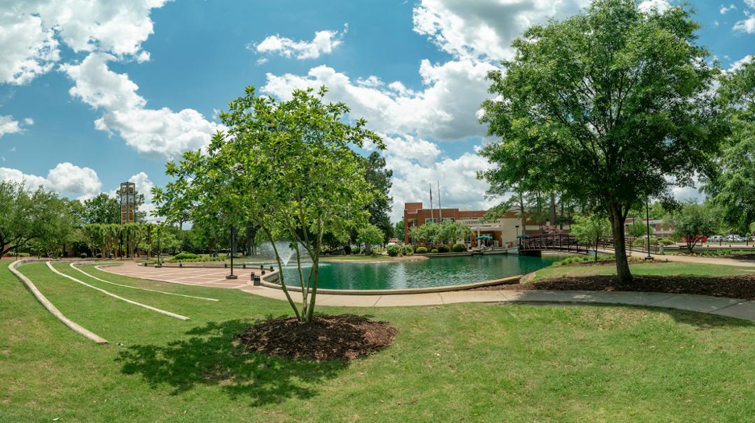 Heritage Oak