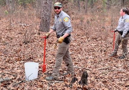 Zachary Lunn holdnig a red tool as he plants wiregrass plugs.
