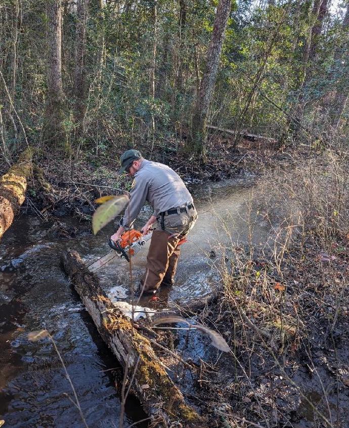 Zachary Lunn conducting maintenance in the forest.