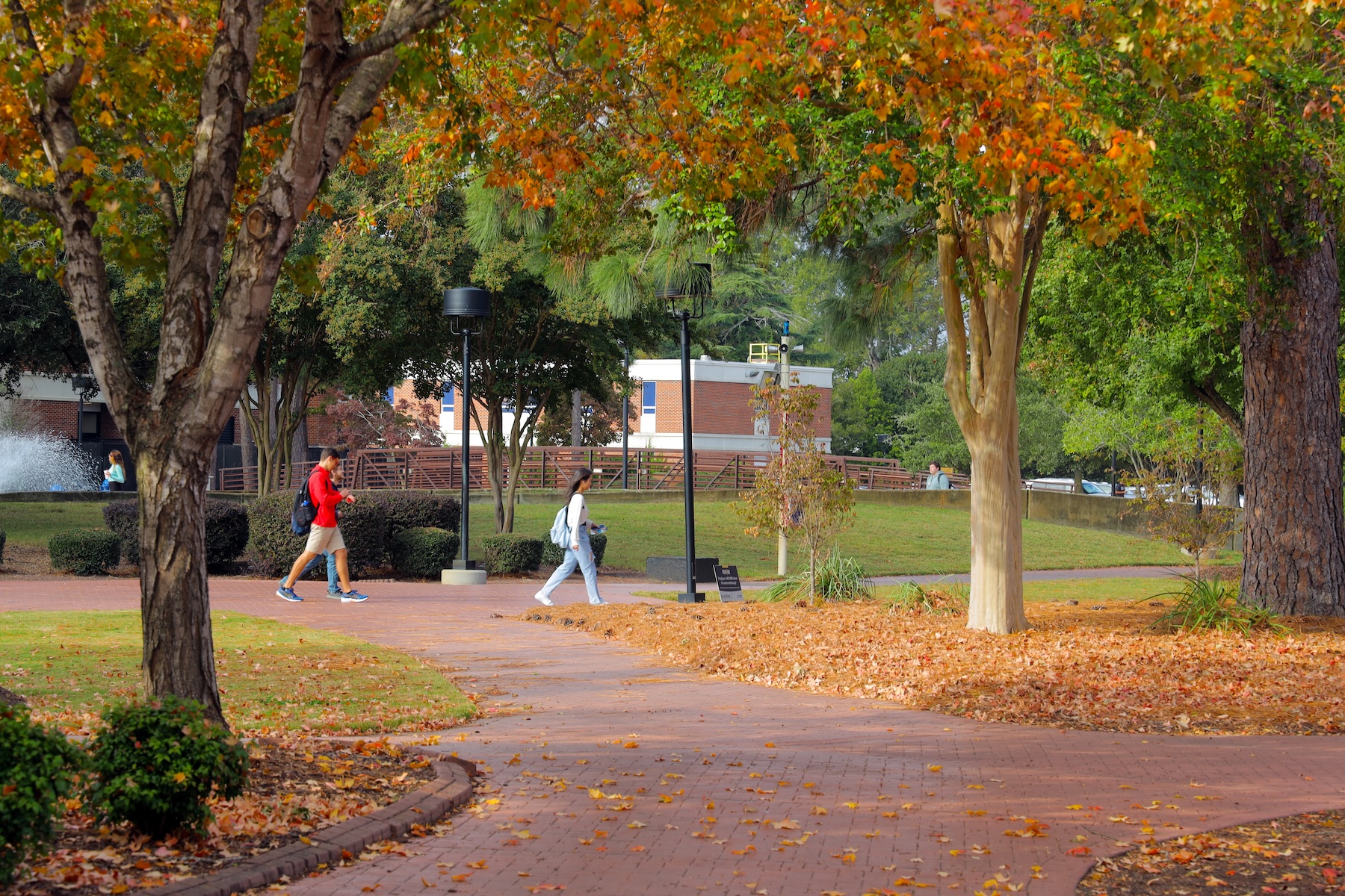 Campus Shot with students