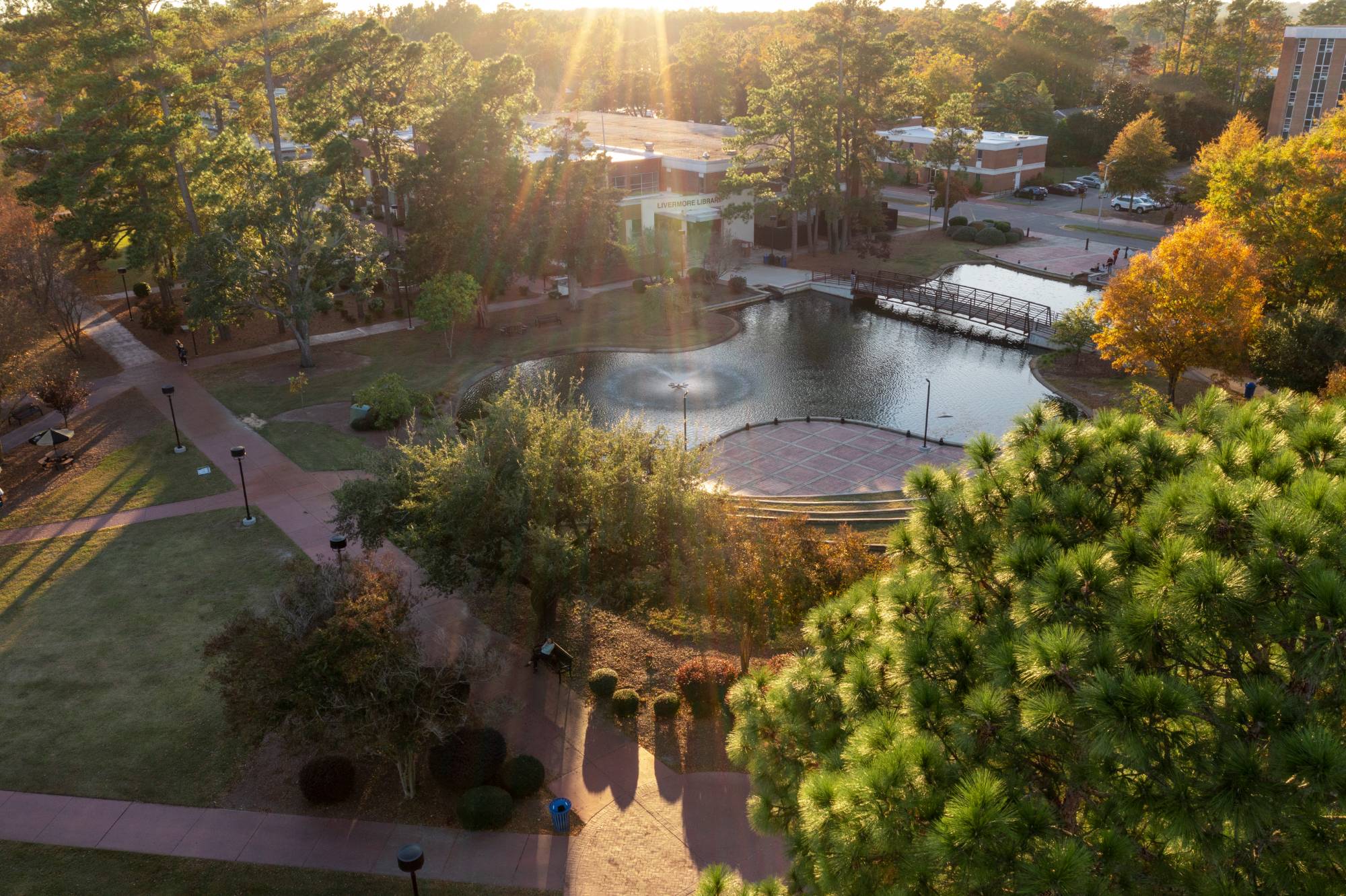 view of the UNC Pembroke campus during fall, featuring vibrant autumn foliage, campus walkways, and academic buildings in the background.