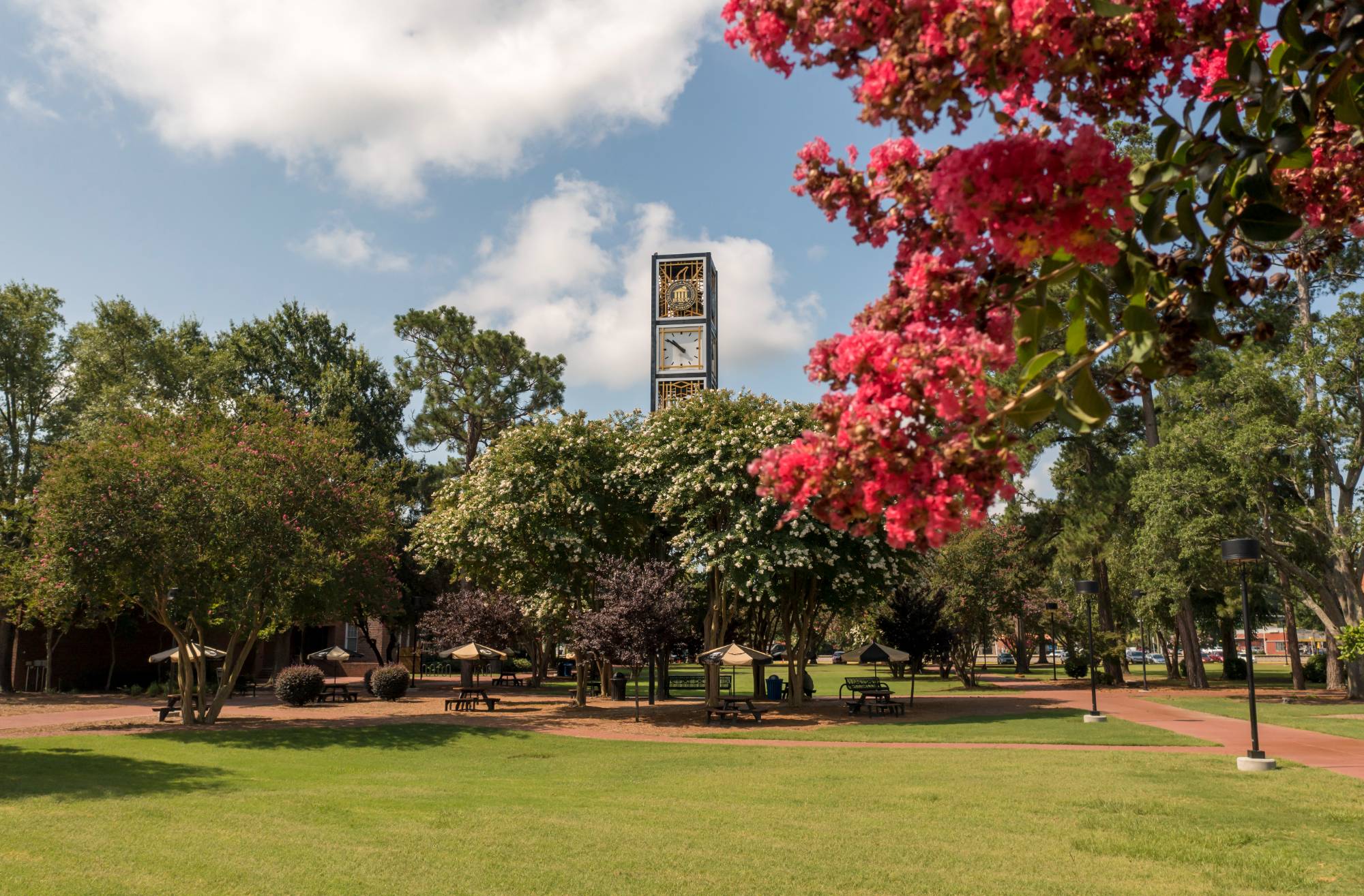Clocktower with flowers