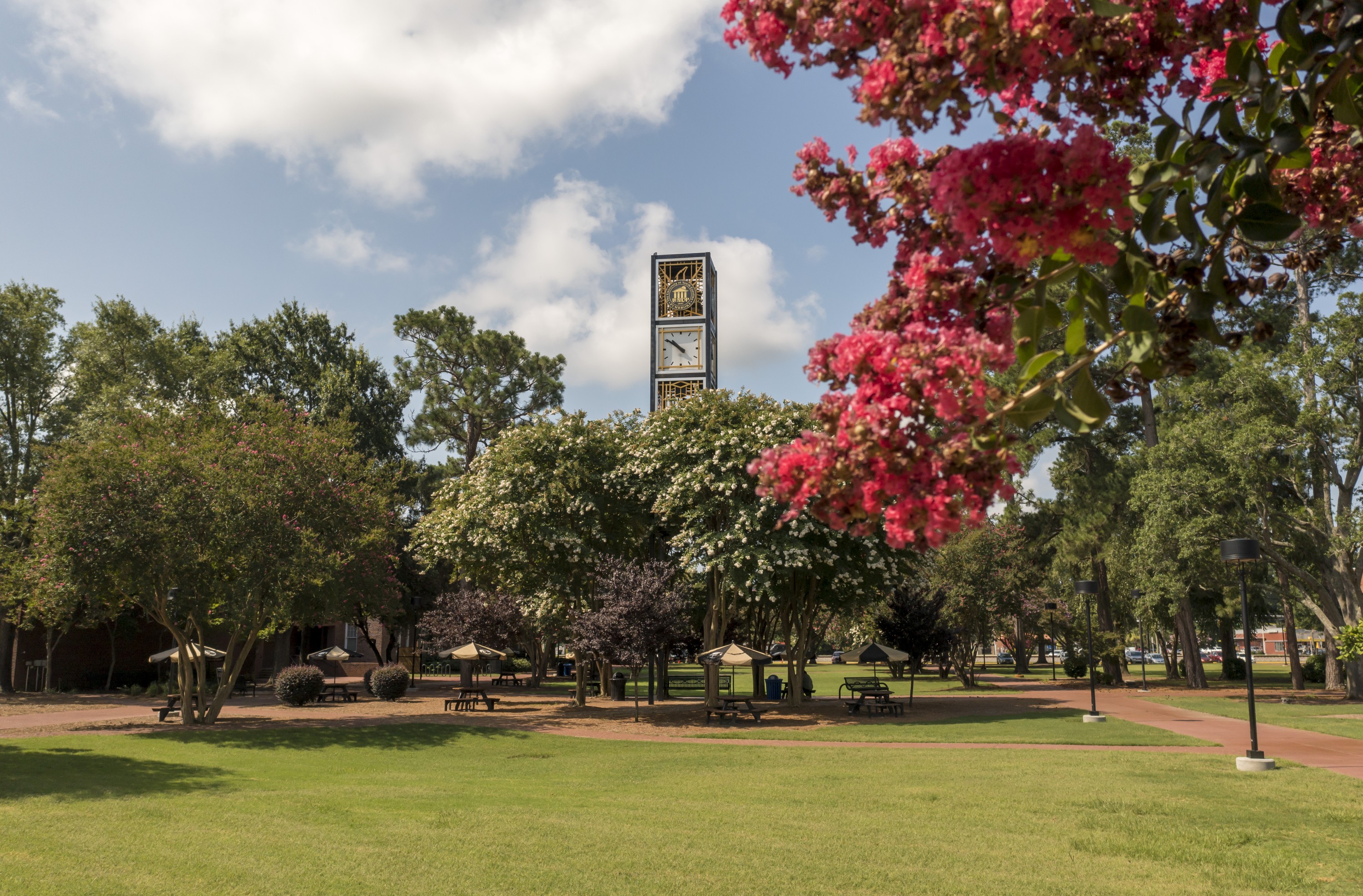 UNC Pembroke quad featuring the clocktower and blooming trees on a bright sunny day.