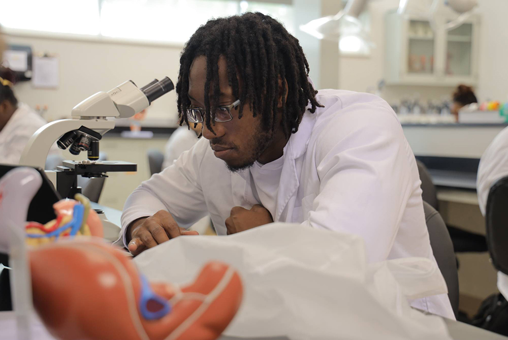 A student in a white lab coat focuses intently while studying in a science lab, with a microscope and anatomical model nearby