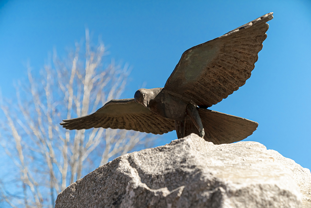 Tommy Hawk Statue UNC Pembroke