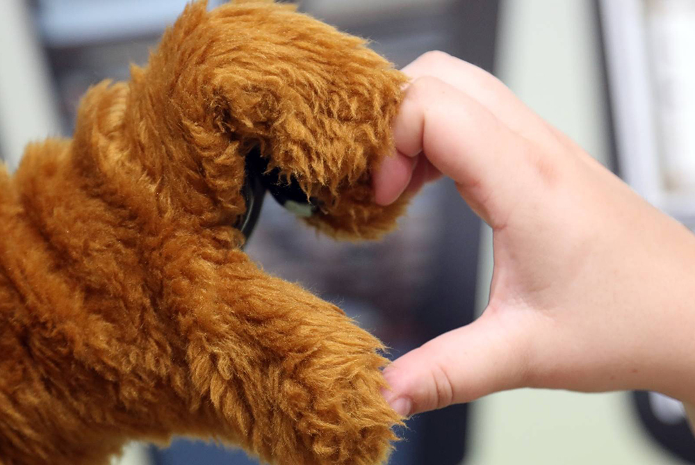 Bravehawk and student hands making a heart