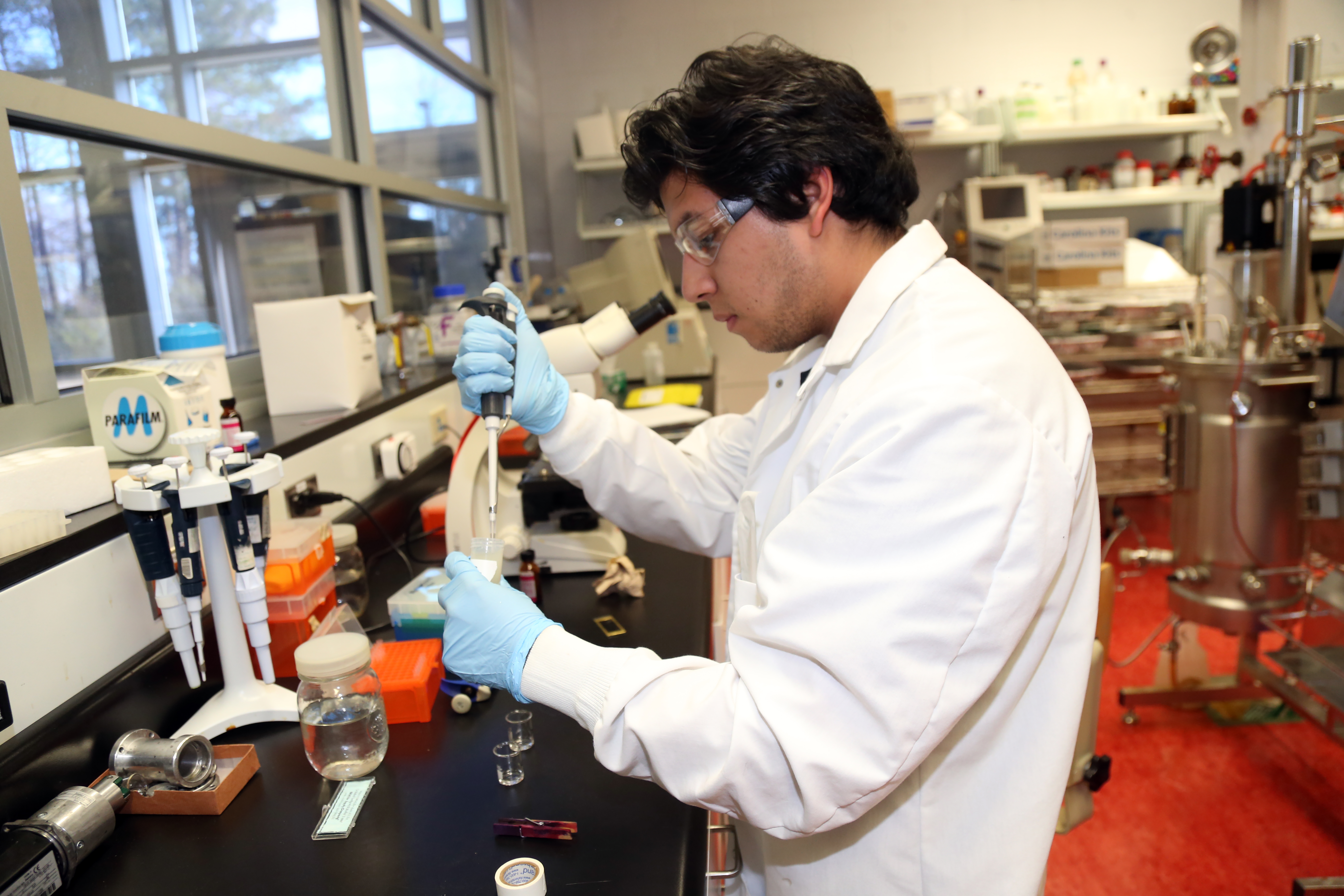 Male student in lab