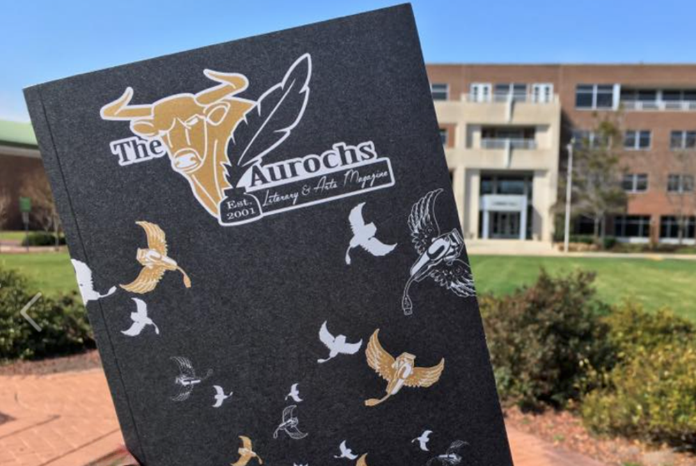 The Aurochs