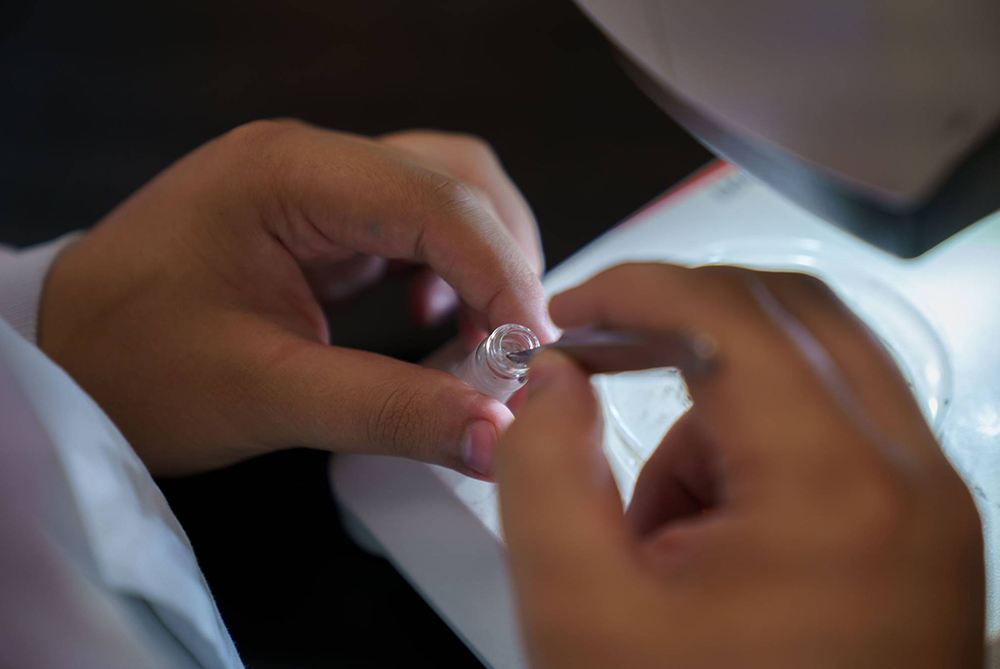 UNCP students hands under a microscope holding a glass jar