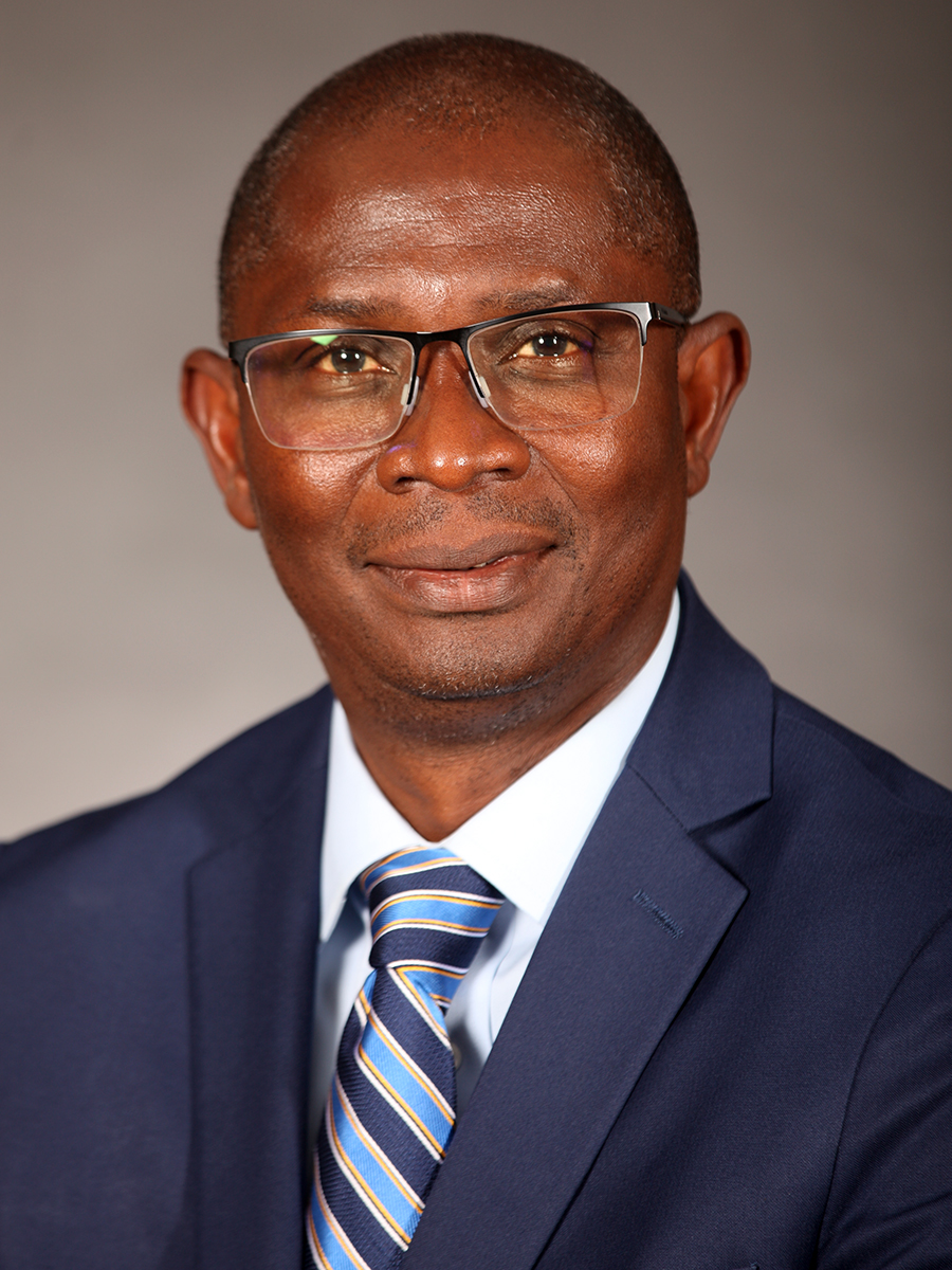 Sayo Fakayode, headshot