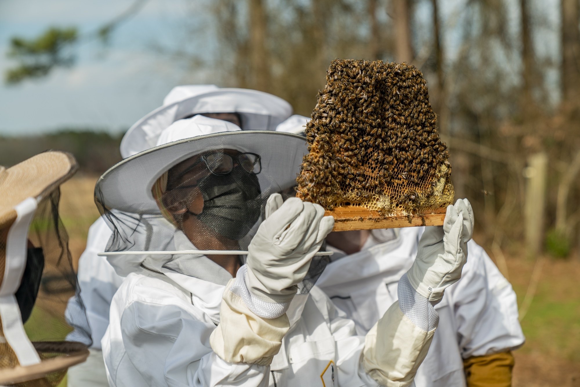 Student in bee gear handling a hive