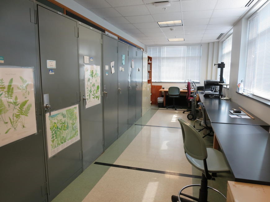 Herbarium at UNC Pembroke