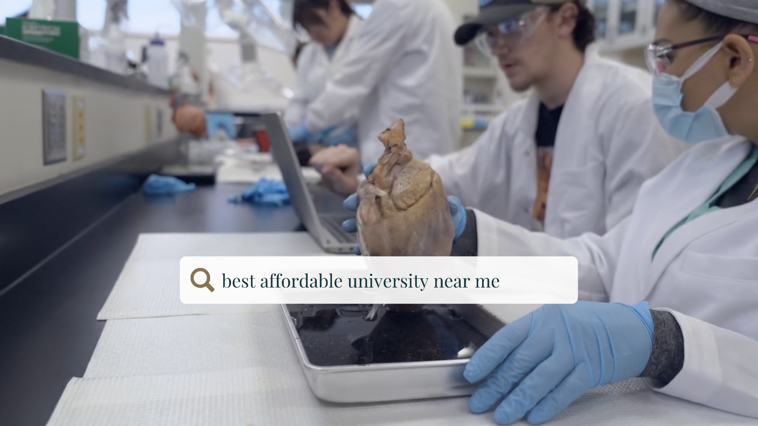 best university college near me