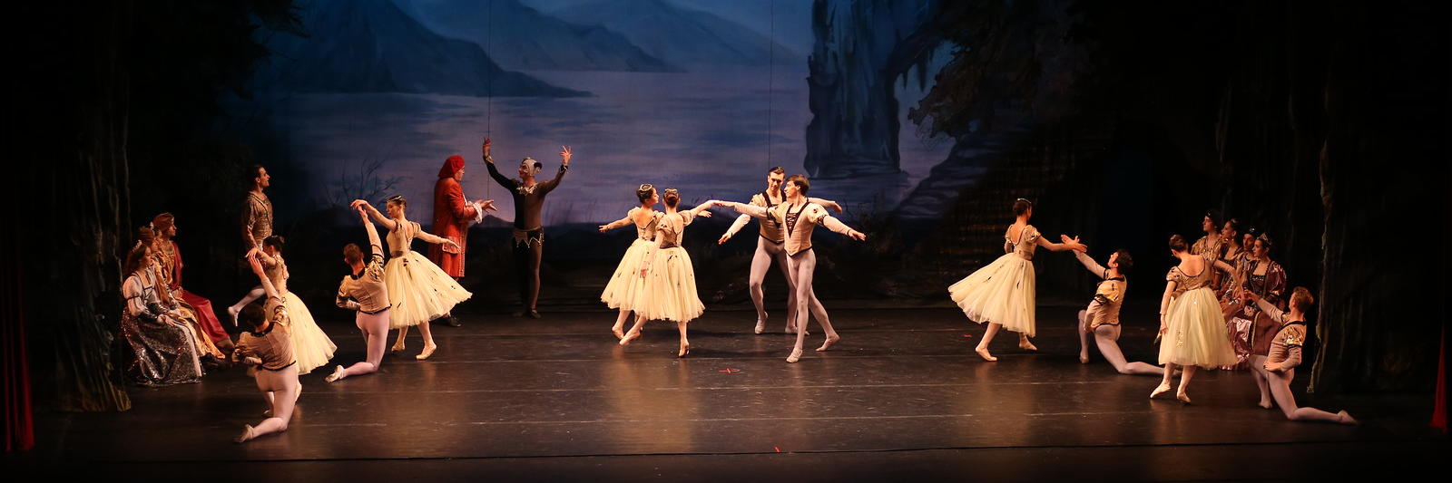 Russian Ballet &quot;Swan Lake&quot;